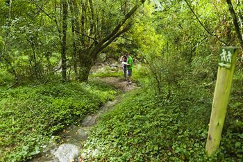 Outdoor Pictures 22