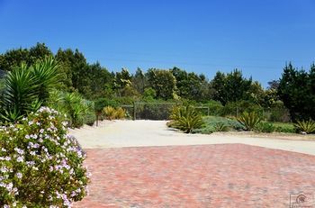 Outdoor Pictures 17
