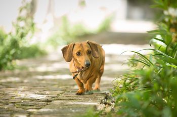 Outdoor Pictures 23