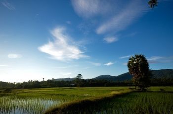 Outdoor Pictures 22