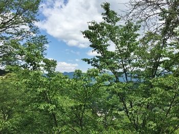 Outdoor Pictures 20