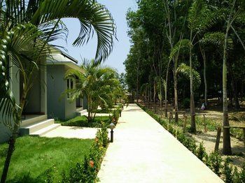 Outdoor Pictures 15