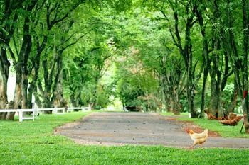 Outdoor Pictures 22