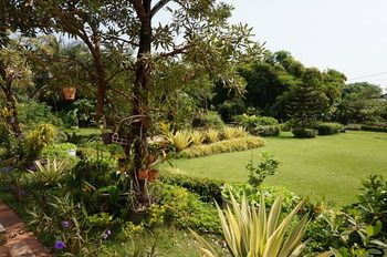 Outdoor Pictures 21