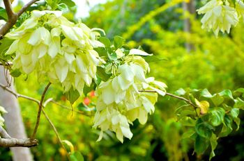 Outdoor Pictures 21