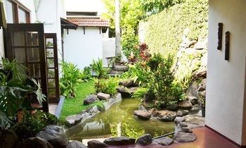 Outdoor Pictures 21