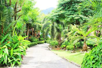 Outdoor Pictures 22