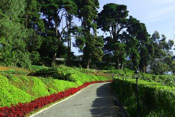Outdoor Pictures 23