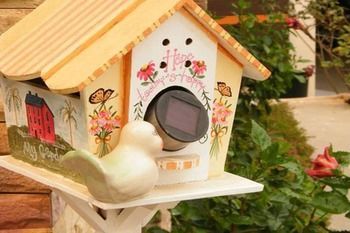 Outdoor Pictures 22