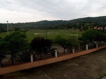 Outdoor Pictures 17