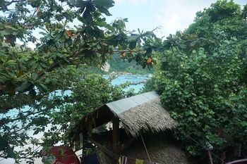 Chaokoh Phi Phi hostel
