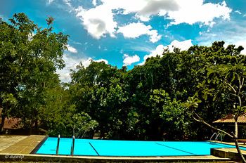 Outdoor Pictures 23
