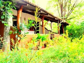 Outdoor Pictures 24