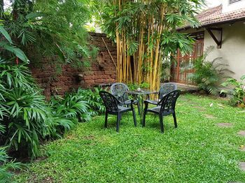 Outdoor Pictures 24