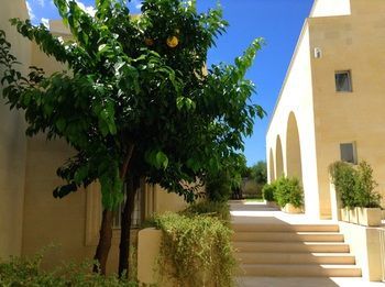 Outdoor Pictures 23
