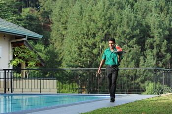 Outdoor Pictures 22