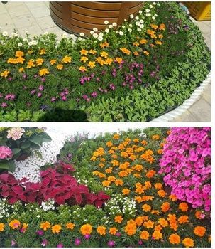 Outdoor Pictures 23
