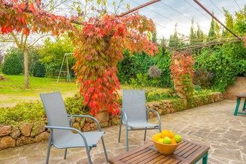 Outdoor Pictures 21