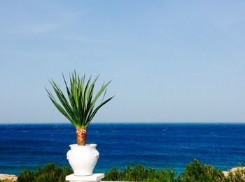 Outdoor Pictures 21