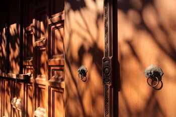 Outdoor Pictures 6