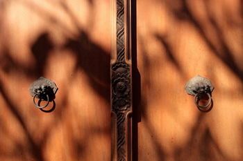 Outdoor Pictures 14