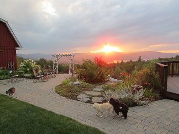 Outdoor Pictures 21