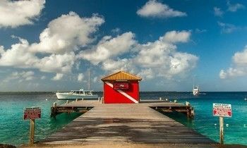 Outdoor Pictures 15