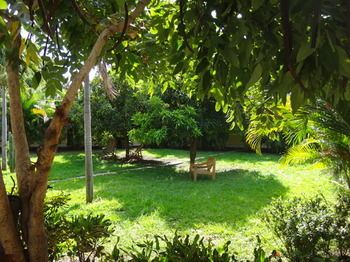 Outdoor Pictures 17