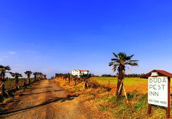 Outdoor Pictures 22