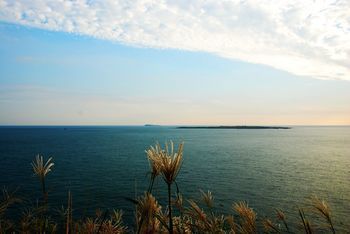 Outdoor Pictures 21