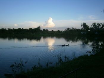 Outdoor Pictures 21