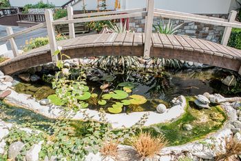 Outdoor Pictures 20