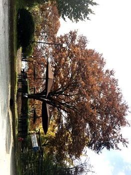 Outdoor Pictures 16