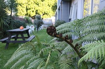 Outdoor Pictures 21