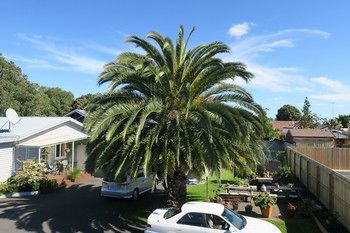 Outdoor Pictures 1