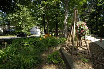 Outdoor Pictures 20
