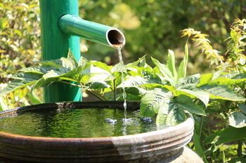 Outdoor Pictures 15