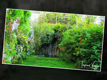 Outdoor Pictures 17