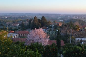 Outdoor Pictures 24