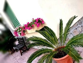 Outdoor Pictures 9