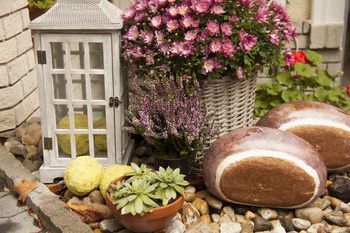 Outdoor Pictures 22