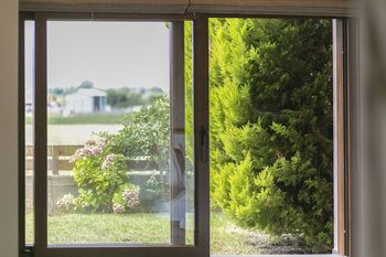 Outdoor Pictures 24