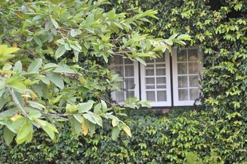 Outdoor Pictures 22