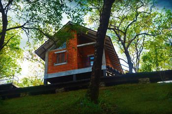Outdoor Pictures 24