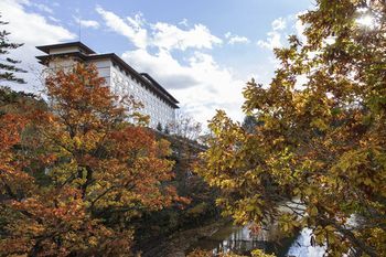 Outdoor Pictures 23