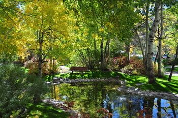 Outdoor Pictures 18