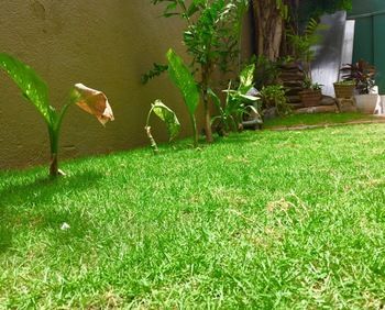 Outdoor Pictures 22