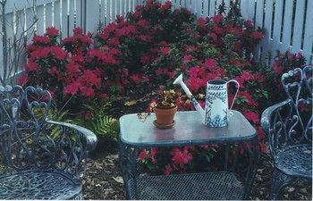 Outdoor Pictures 6