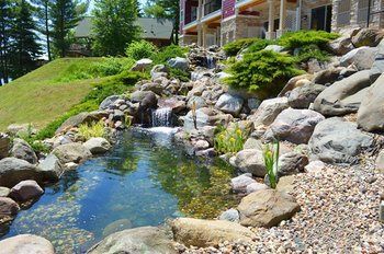 Outdoor Pictures 17