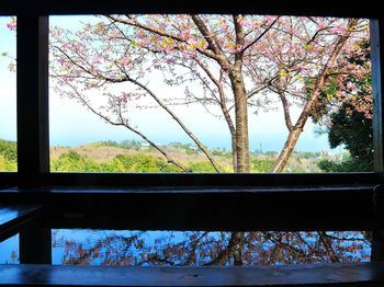 Outdoor Pictures 20